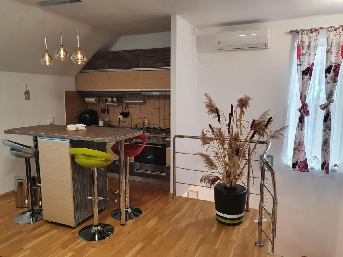 Smiley Apartment Sibiu Exterior foto